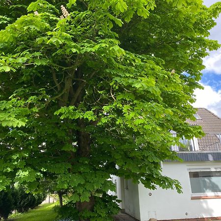 Meerzeit Schulp  Exteriér fotografie